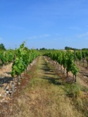 Gites Ruraux Cahors Les Bories, Location Lot, Vacances Lot Près De Cahors