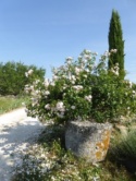 Gites Ruraux Cahors Les Bories, Location Lot, Vacances Lot Près De Cahors