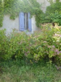 Gites Ruraux Cahors Les Bories, Location Lot, Vacances Lot Près De Cahors