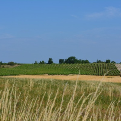 Gites ruraux Cahors les Bories, Location Lot, Vacances Lot près de Cahors