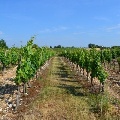 Gites ruraux Cahors les Bories, Location Lot, Vacances Lot près de Cahors