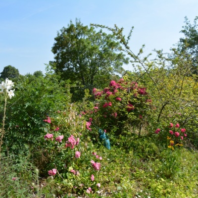 Gites ruraux Cahors les Bories, Location Lot, Vacances Lot près de Cahors