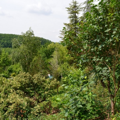 Gites ruraux Cahors les Bories, Location Lot, Vacances Lot près de Cahors