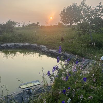 poulailler entres les deux