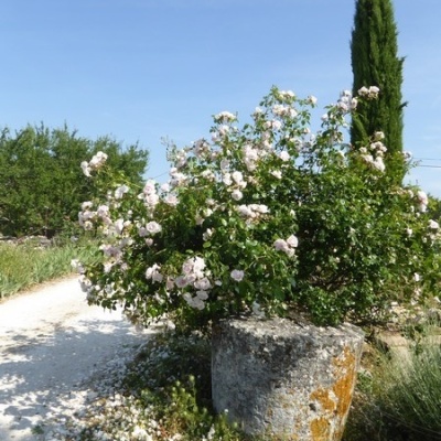 Gites ruraux Cahors les Bories, Location Lot, Vacances Lot près de Cahors