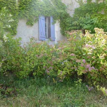 Gites ruraux Cahors les Bories, Location Lot, Vacances Lot près de Cahors