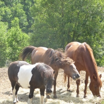 Gites ruraux Cahors les Bories, Location Lot, Vacances Lot près de Cahors